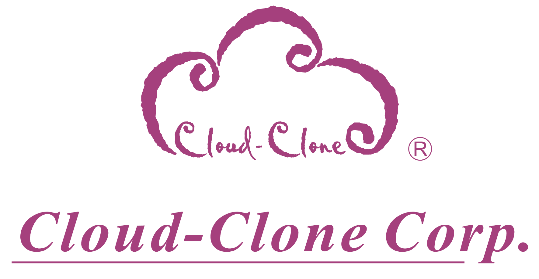 LOGO CLOUDCLONE